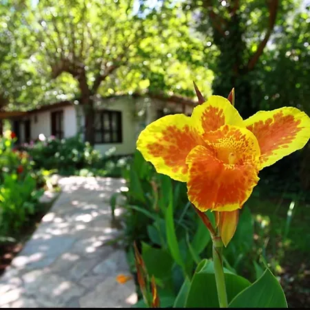 Dolunay Hotel de apartamente Çıralı