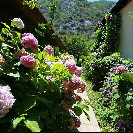 Hotel de apartamente Dolunay 3*