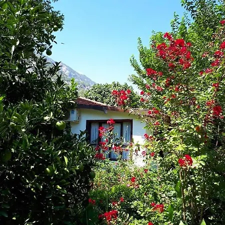 Dolunay Hotel de apartamente