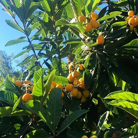 Appart hôtel Dolunay