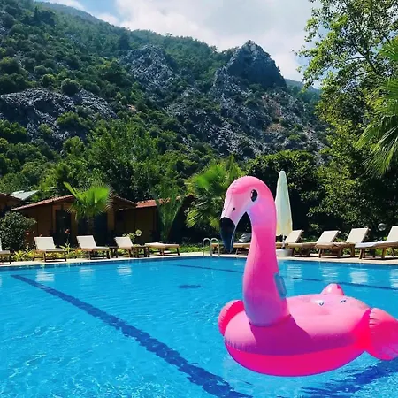 Dolunay Çıralı
