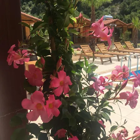 Aparthotel Dolunay 3*