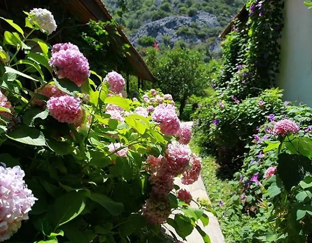 Aparthotel Dolunay 3*