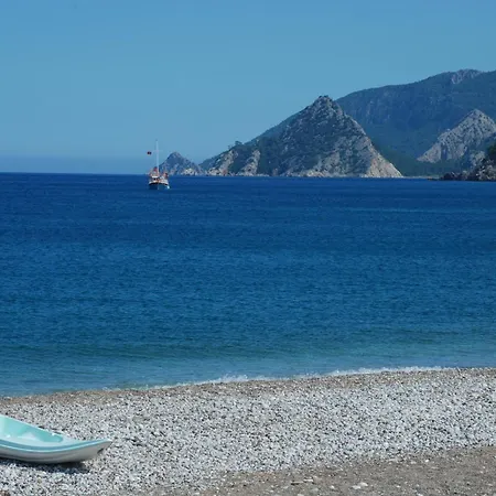Dolunay Cirali