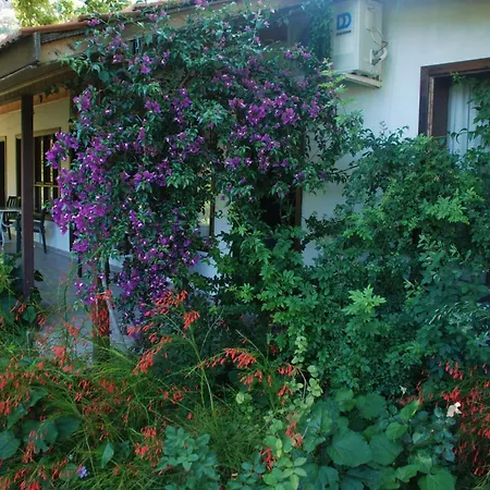Aparthotel Dolunay *